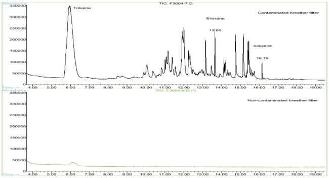 Flavor GC/MS Analysis